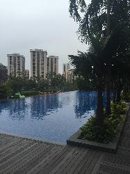 The Rochester Residences (D5), Condominium #38631962